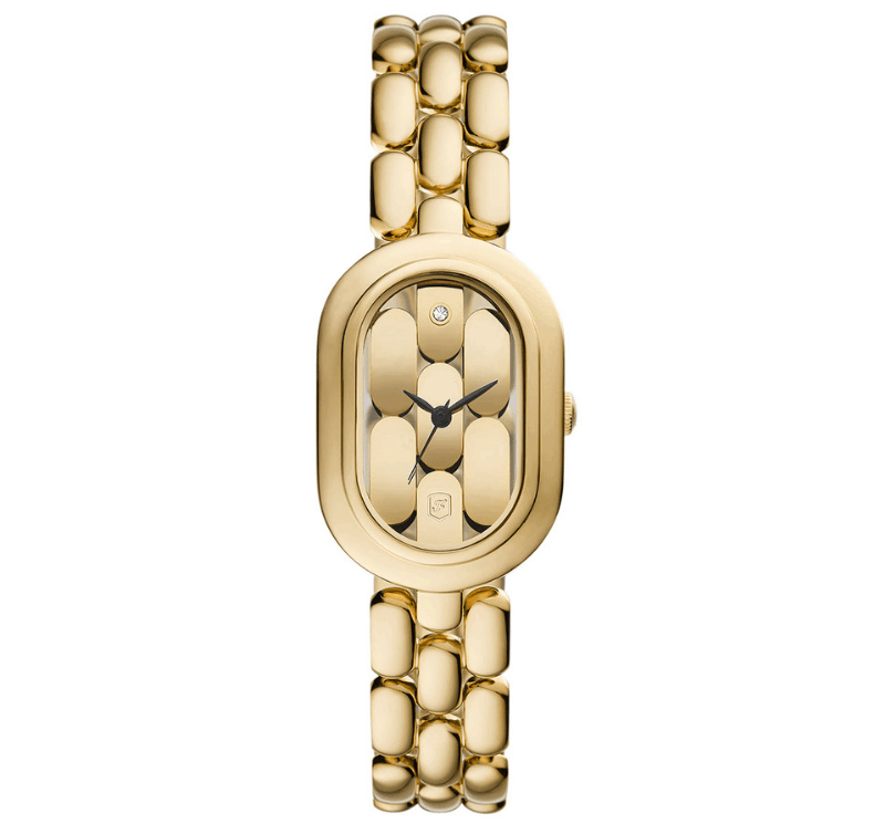 RELOJ FOSSIL ES5380